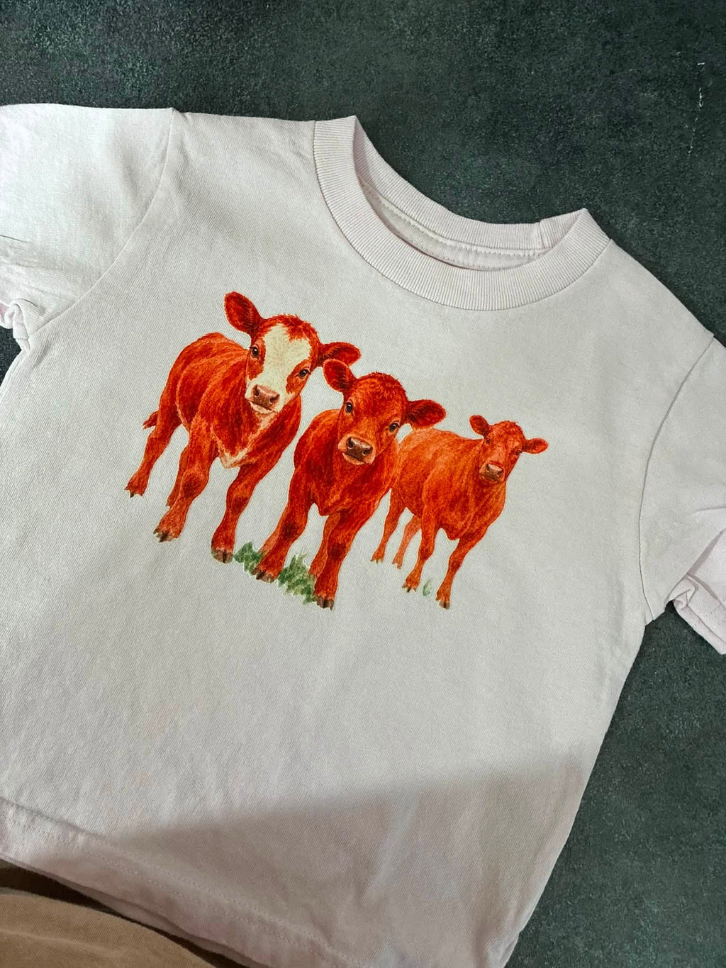 Custom Hereford Cow Shirt
